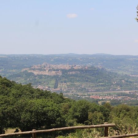 Agriturismo Fattoria Poggio Boalaio Villa Orvieto Exterior foto