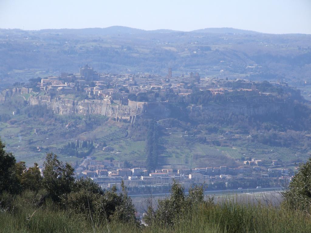 Agriturismo Fattoria Poggio Boalaio Villa Orvieto Exterior foto