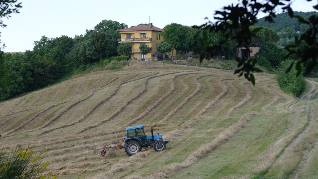 Agriturismo Fattoria Poggio Boalaio Villa Orvieto Exterior foto