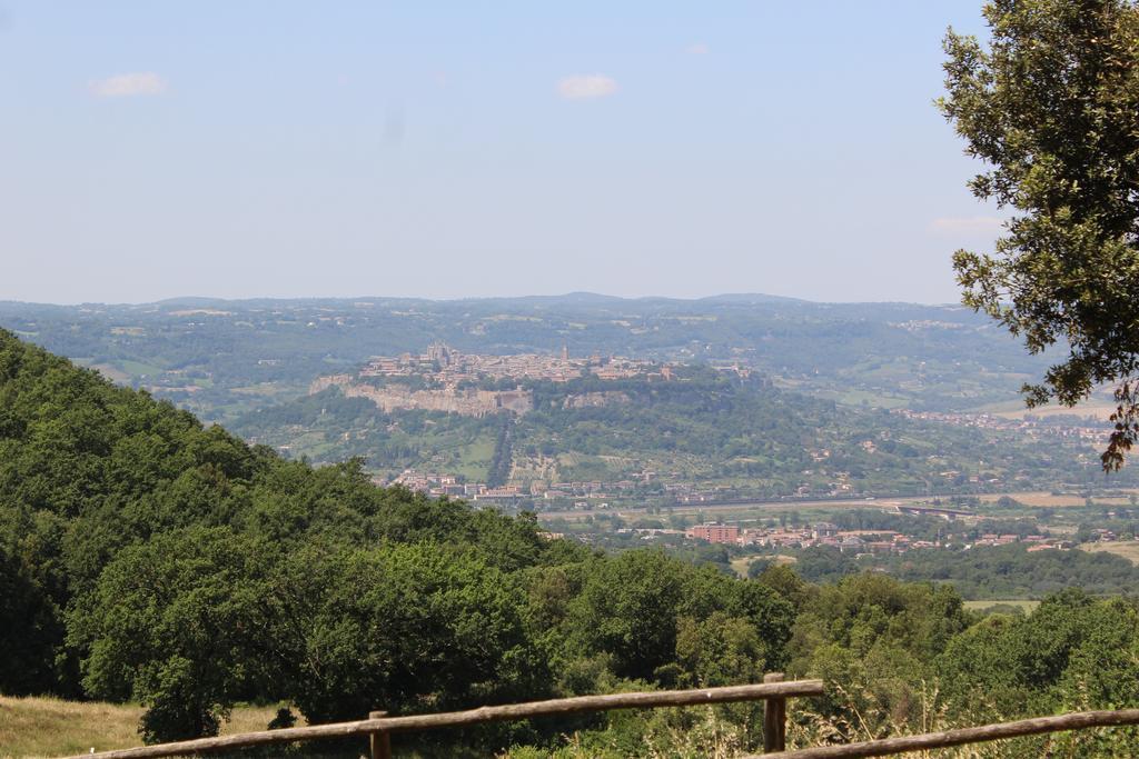 Agriturismo Fattoria Poggio Boalaio Villa Orvieto Exterior foto