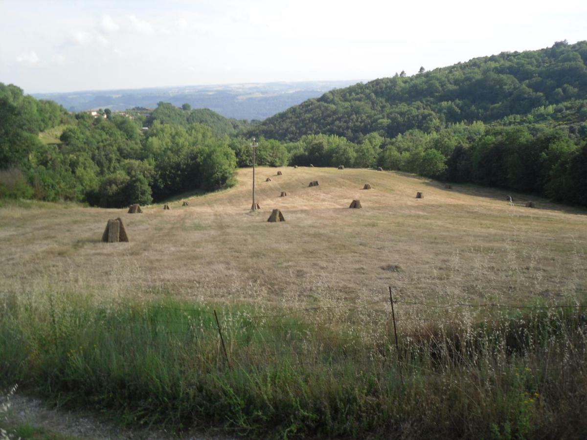 Agriturismo Fattoria Poggio Boalaio Villa Orvieto Exterior foto